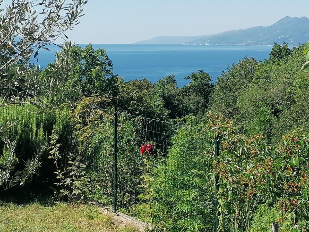 Apartment The View Costabella Rijeka Zewnętrze zdjęcie